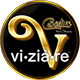 Viziare